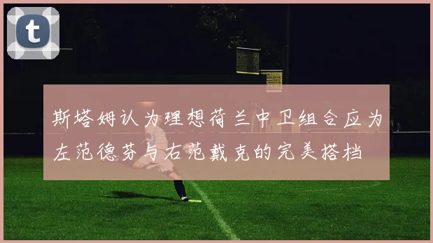 斯塔姆认为理想荷兰中卫组合应为左范德芬与右范戴克的完美搭档