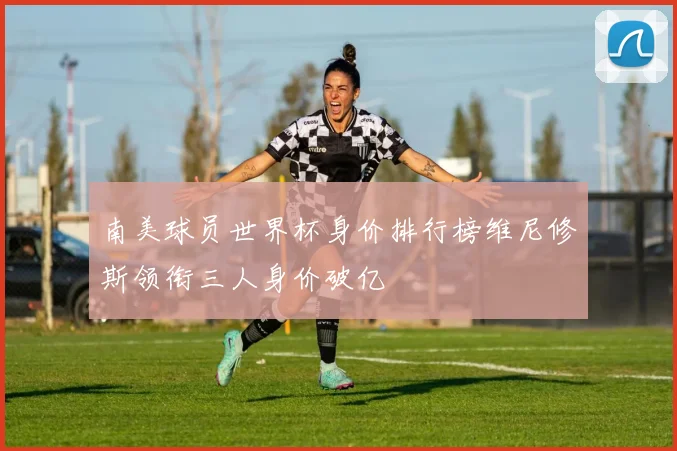 南美球员世界杯身价排行榜维尼修斯领衔三人身价破亿